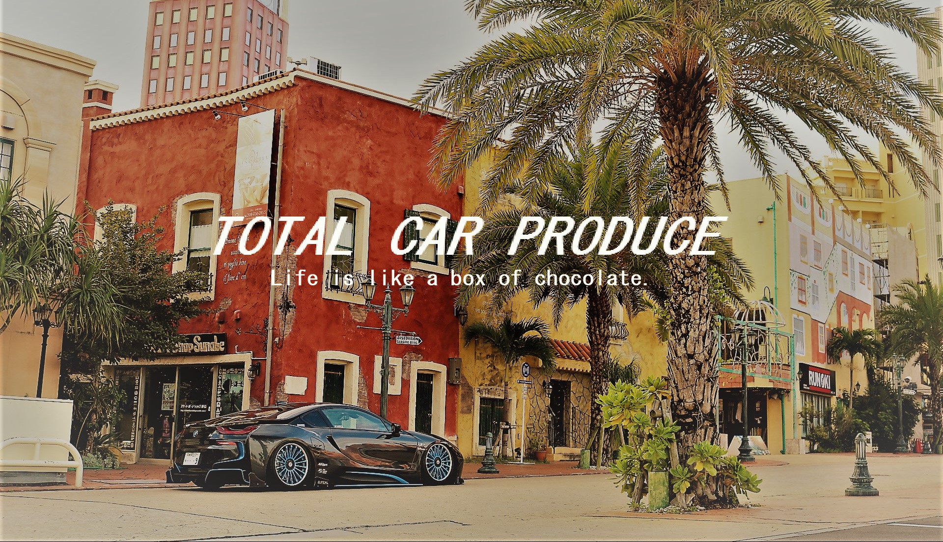 TOTAL CAR PRODUCE Life is like a box of chocolate.