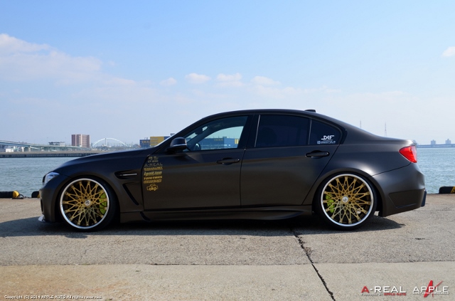 AREAL_F30_02L (640x423)